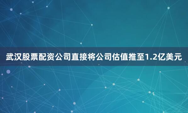 武汉股票配资公司直接将公司估值推至1.2亿美元