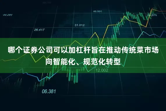 哪个证券公司可以加杠杆旨在推动传统菜市场向智能化、规范化转型